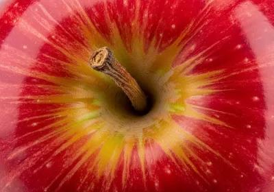 Imagen PNG para descargar